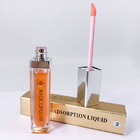 10ml schoonheidsmiddelenmake-up en de Permanente Reparatie van de Lippentatoegering en Vochtigheidslip