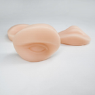 3D Lip van de Huidwenkbrauwen van de Tatoegeringspraktijk oefent 90 het Siliconehoofden uit van de Grammake-up
