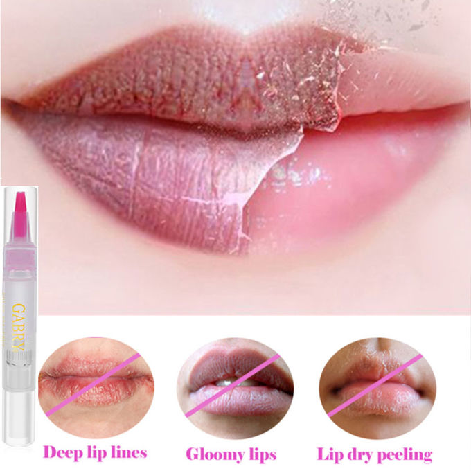 Het in het groot Goedkope Semi-permanente Serum van de Bloesemlipgloss van de make-upkers voor Droge Lippen Natuurlijke Bevochtigende Lippenpommade OEM/ODM