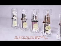 Het permanente Pigment van de Make-uptatoegering